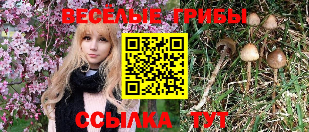 Галлюциногенные грибы мухоморы  Вход с VPN  Псилоцибиновые грибы Psilocybe  Татарск 
